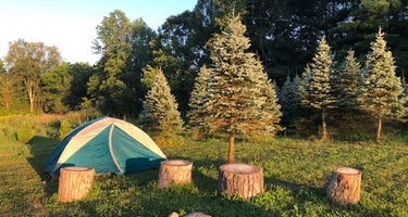 Pioneer Trails Tree Farm Campground