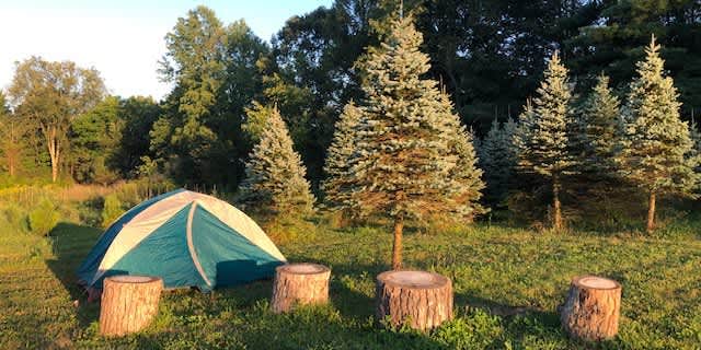 Camper submitted image from Pioneer Trails Tree Farm Campground