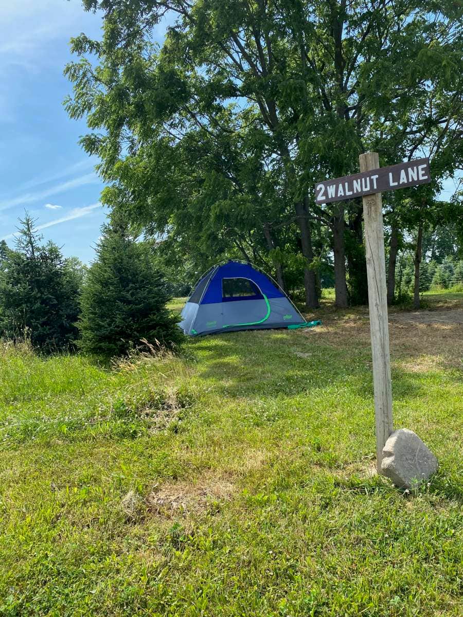 Camper submitted image from Pioneer Trails Tree Farm Campground - 5