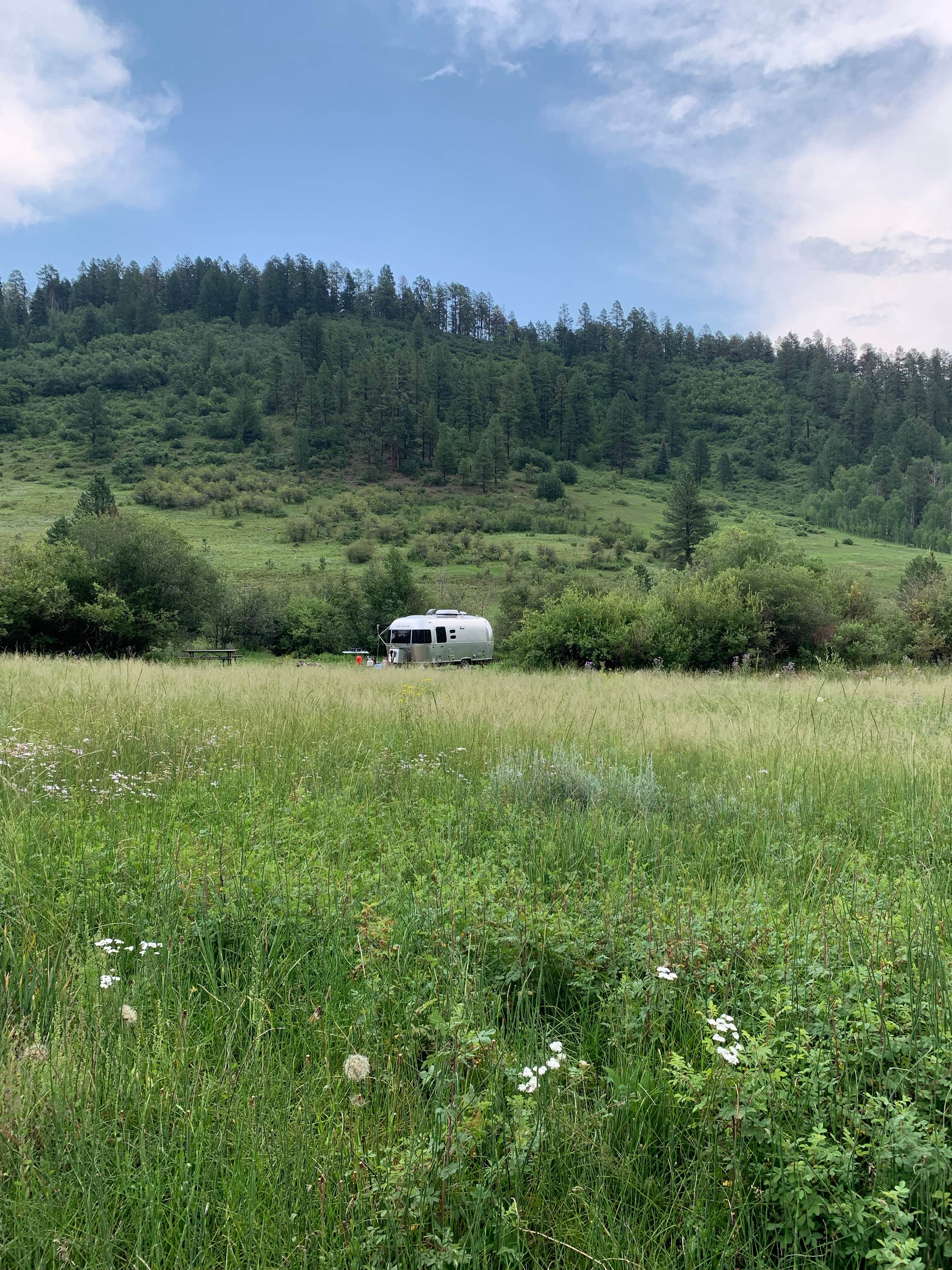 Camper submitted image from Bridge Campground - San Juan NF - 4