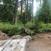 Review photo of Lost Lake Resort And Campground — Mt. Hood National Forest by James W., August 19, 2021