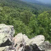 Review photo of Annapolis Rock Campground — Appalachian National Scenic Trail by Cory D., June 19, 2018