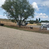 Review photo of Oasis RV Resort and Cottages by Sarah S., August 19, 2021