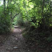 Review photo of Annapolis Rock Campground — Appalachian National Scenic Trail by Cory D., June 19, 2018