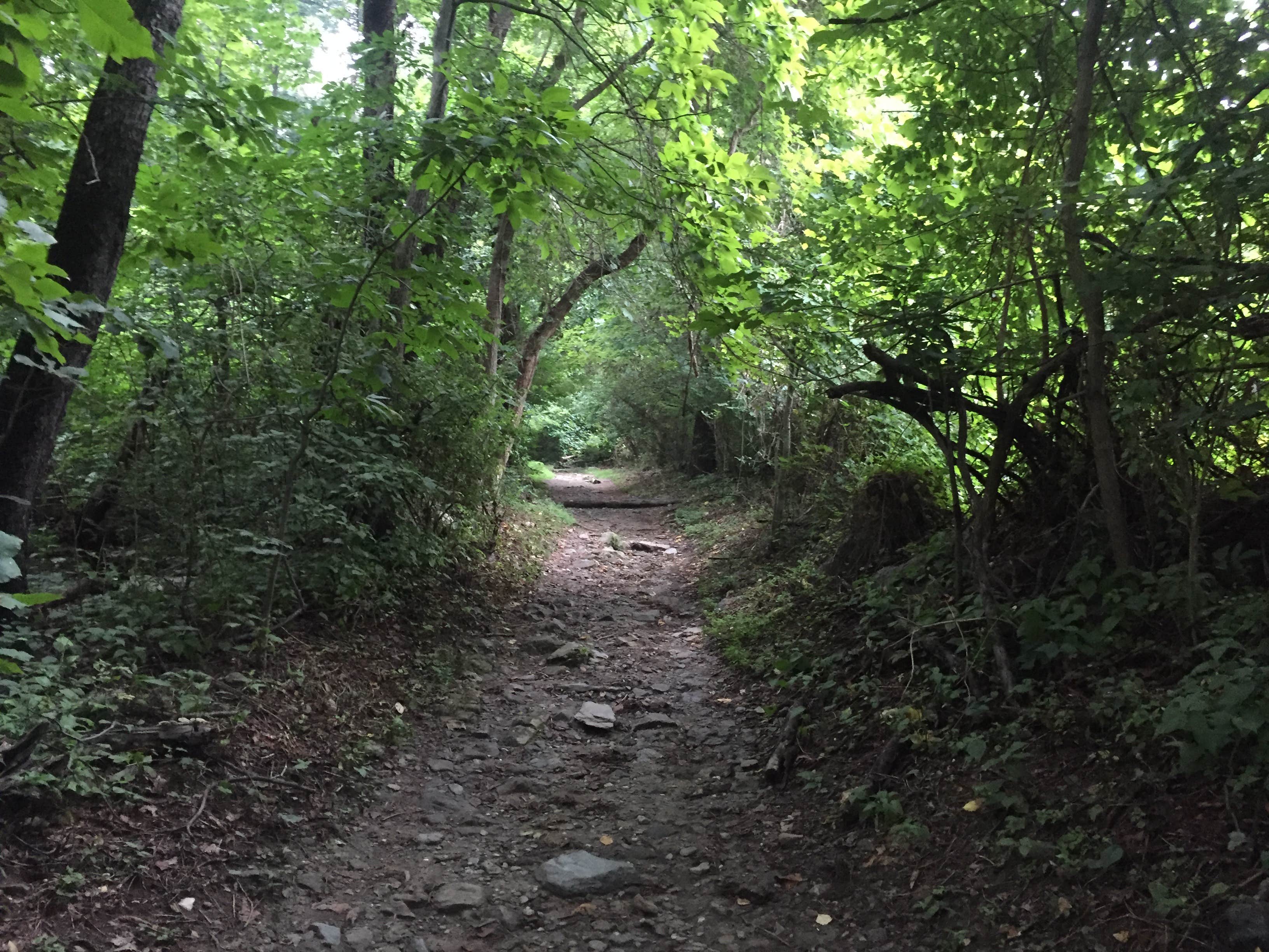 Camper submitted image from Annapolis Rock Campground — Appalachian National Scenic Trail - 5