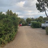 Review photo of Oasis RV Resort and Cottages by Sarah S., August 19, 2021