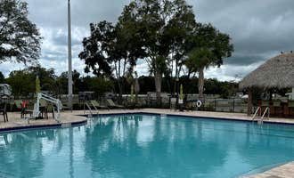 Camping near Starvation Slough Campsite: Southern Oaks RV Resort, Belleview, Florida