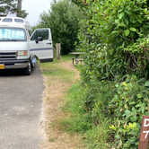 Review photo of Cape Lookout State Park Campground by Tanya B., August 19, 2021