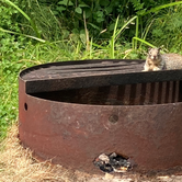 Review photo of Cape Lookout State Park Campground by Tanya B., August 19, 2021