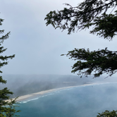 Review photo of Cape Lookout State Park Campground by Tanya B., August 19, 2021