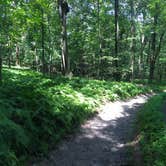 Review photo of Annapolis Rock Campground — Appalachian National Scenic Trail by Cory D., June 19, 2018