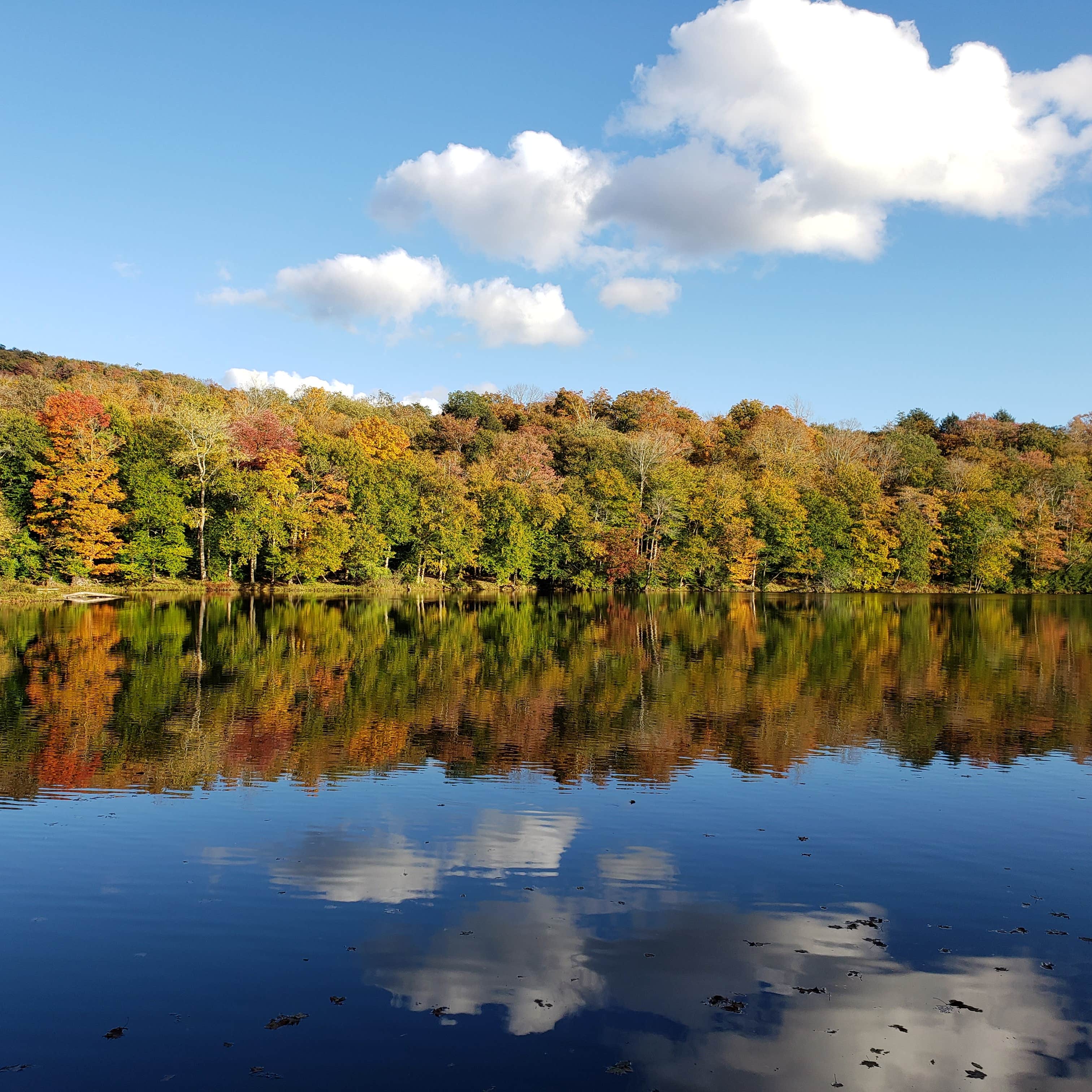 Mongaup Pond Camping The Dyrt
