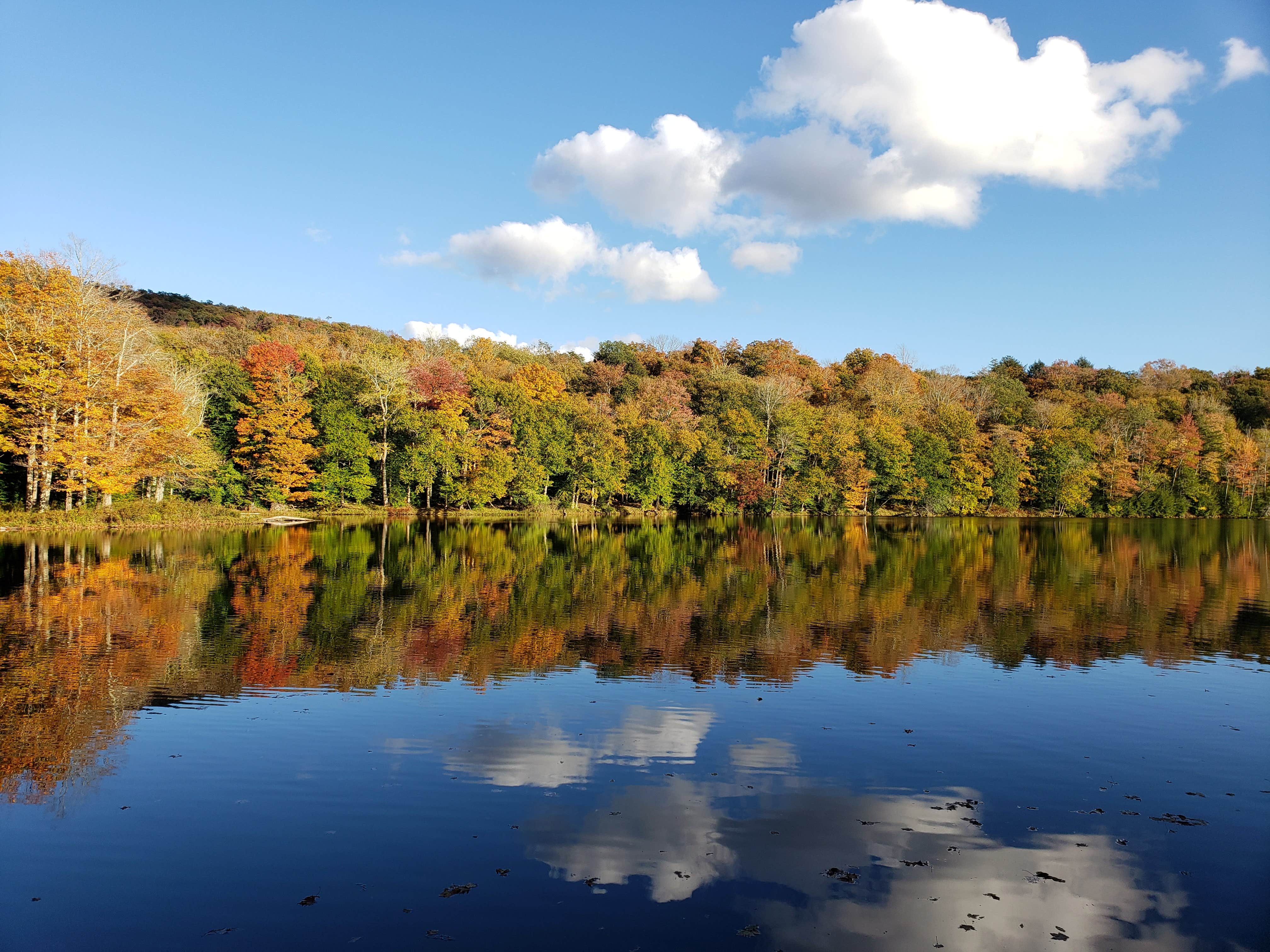 Camper submitted image from Mongaup Pond - 5