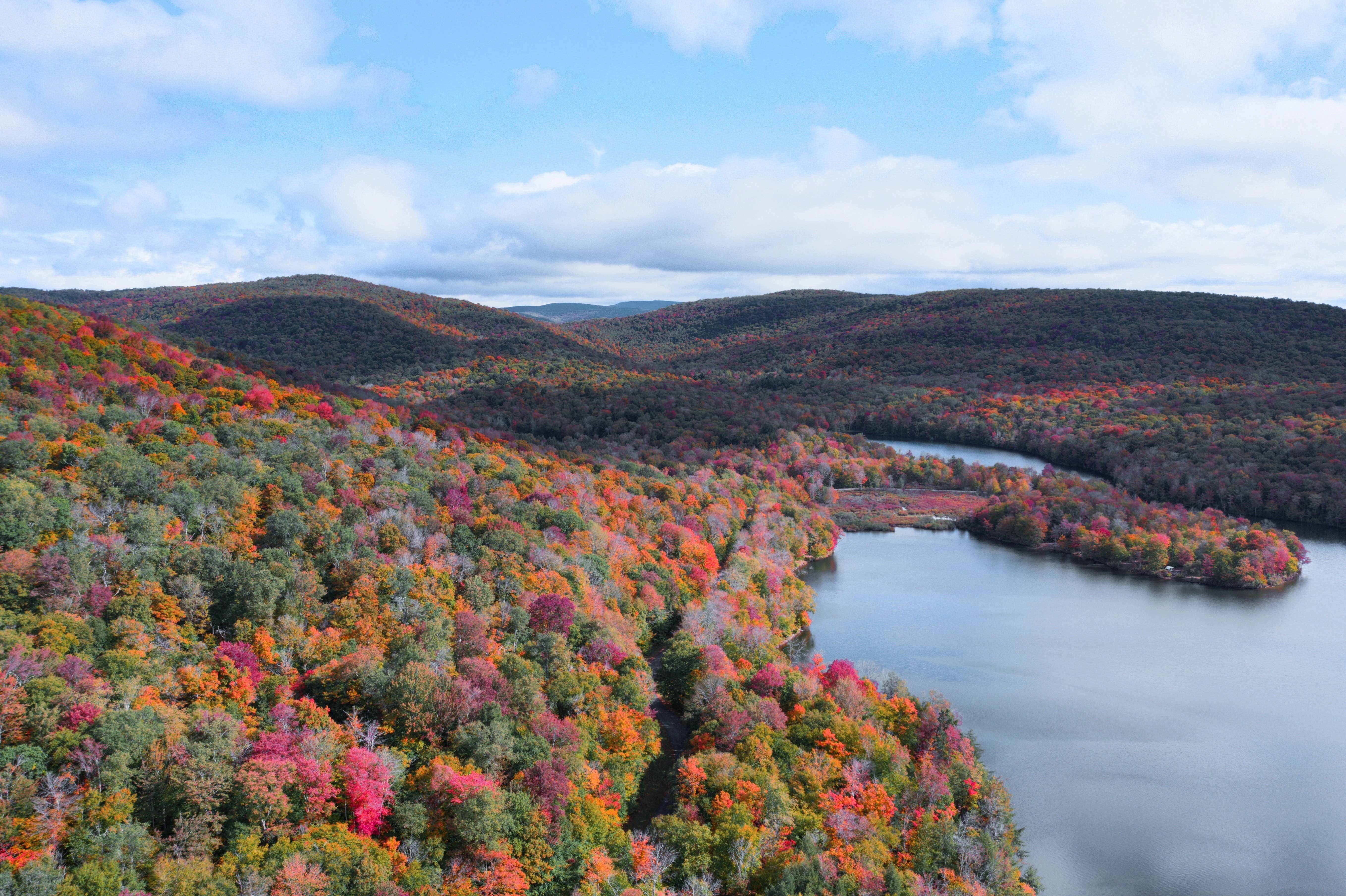 Camper submitted image from Mongaup Pond - 2