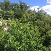 Review photo of Annapolis Rock Campground — Appalachian National Scenic Trail by Cory D., June 19, 2018