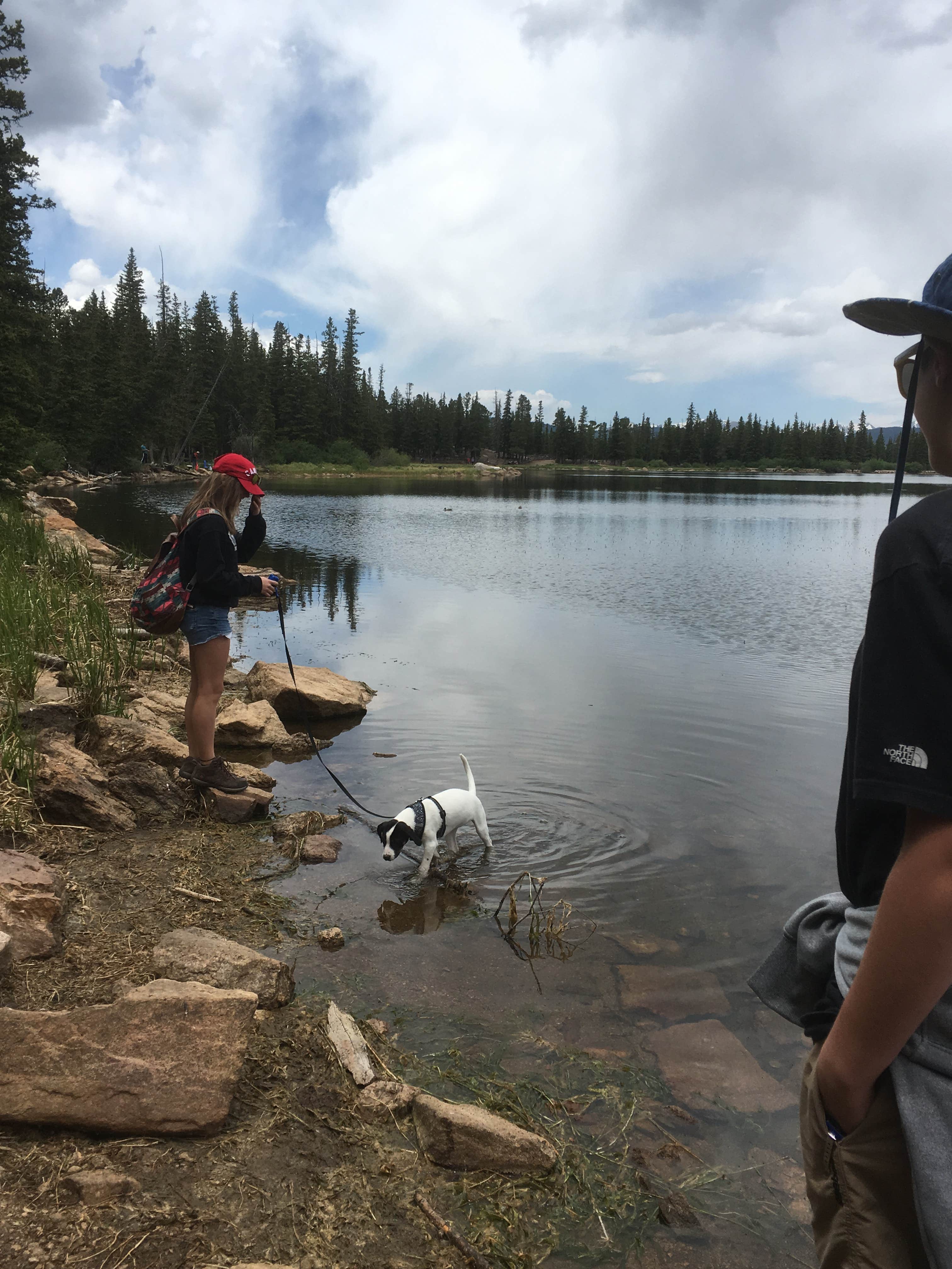 Donna S.'s photo of camping with pets at Arapaho National Forest Echo Lake Campground near Silver Plume, CO