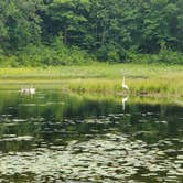 Review photo of Bear Paw Campground — Itasca State Park by Chris W., August 20, 2021