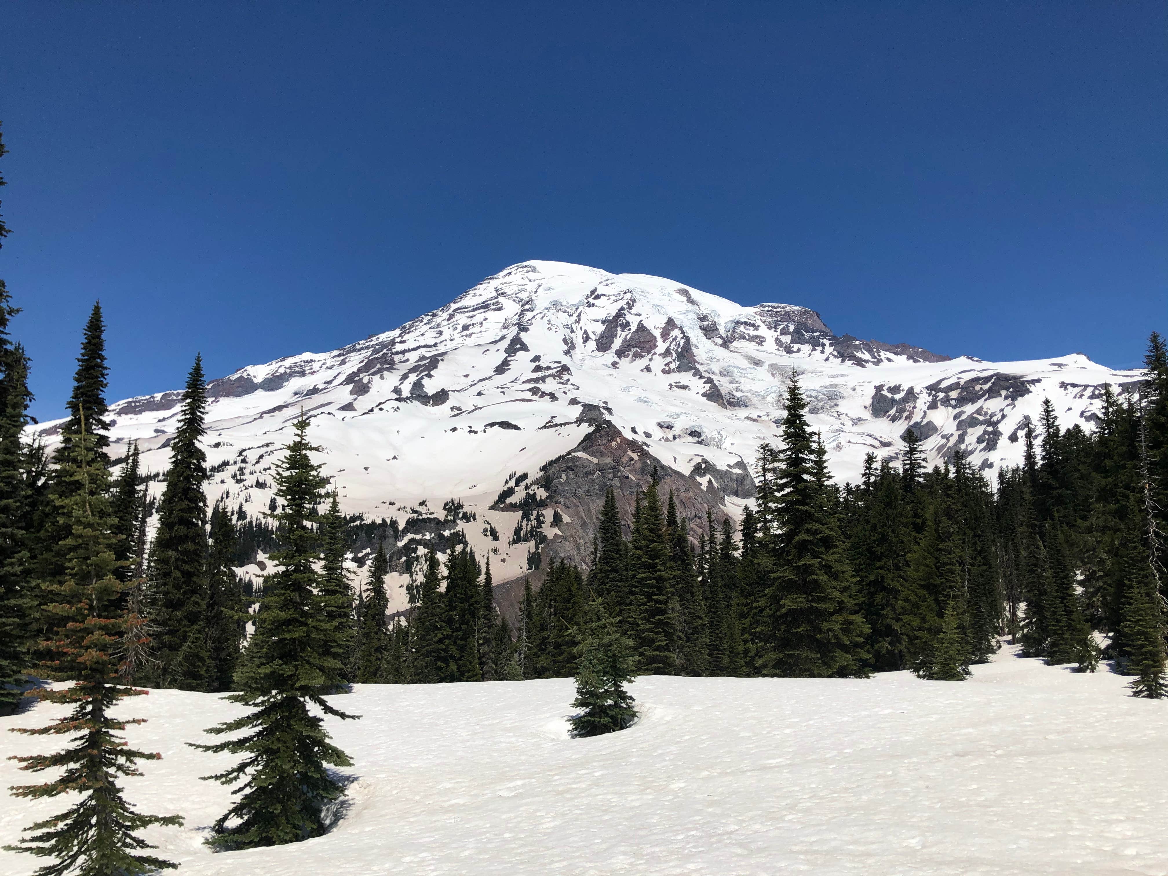 Best camping near Black Diamond, Washington The Dyrt