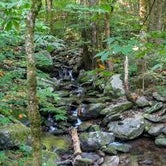Review photo of Cosby Campground — Great Smoky Mountains National Park by Cory D., June 19, 2018