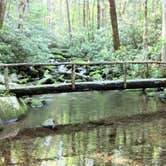 Review photo of Cosby Campground — Great Smoky Mountains National Park by Cory D., June 19, 2018