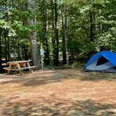 Review photo of Desert of Maine Campground by LoneCamper C., August 20, 2021