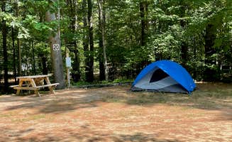 LoneCamper C.'s photo at Desert of Maine Campground near Topsham, ME