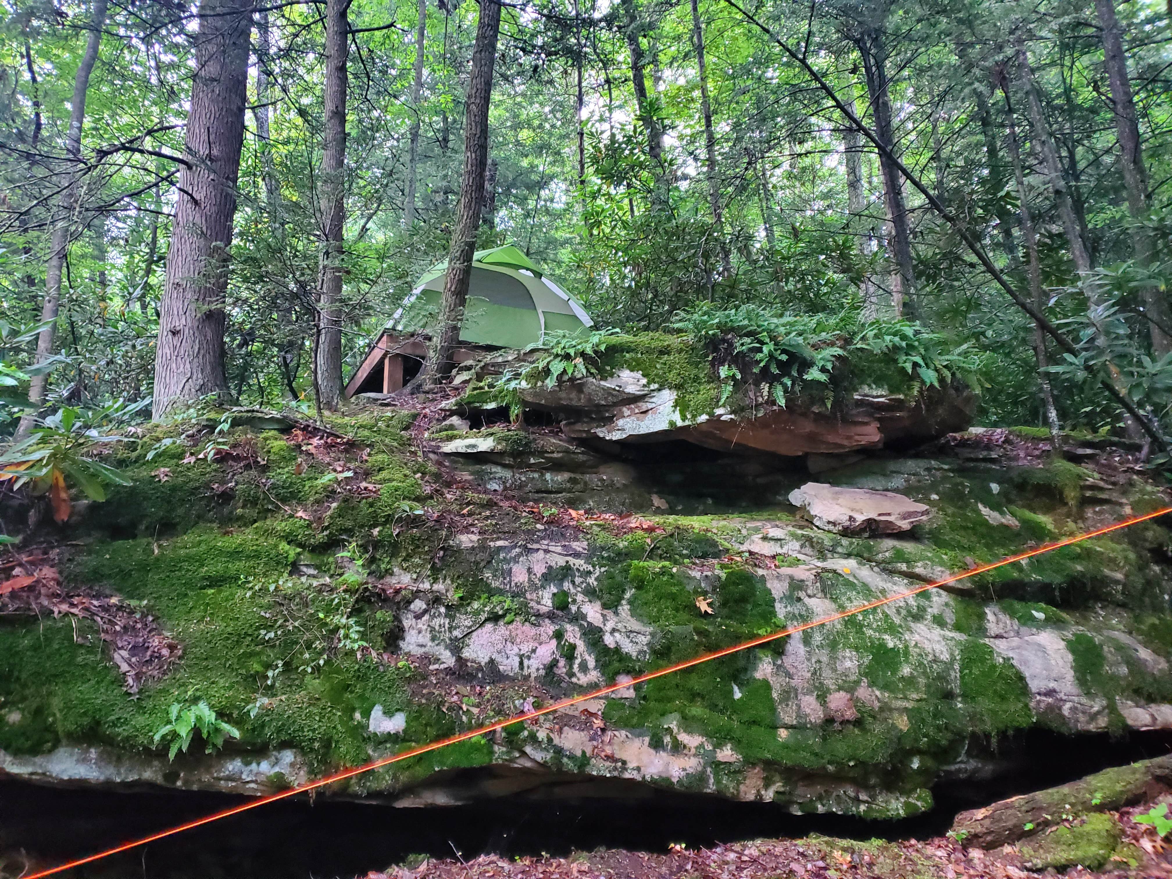Bansi D.'s photo at New River Gorge Campground - American Alpine Club near Charleston, WV