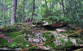 Bansi D.'s photo of tent camping at New River Gorge Campground - American Alpine Club near Summersville, WV