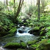 Review photo of Cosby Campground — Great Smoky Mountains National Park by Cory D., June 19, 2018