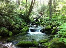 Cosby Campground — Great Smoky Mountains National Park