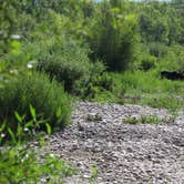 Review photo of Gros Ventre Campground — Grand Teton National Park by Macel C., August 20, 2021