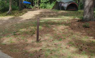 Gillian G.'s photo at Massasoit State Park Campground near Rehoboth, MA