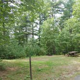 Review photo of Massasoit State Park Campground by Gillian G., August 20, 2021