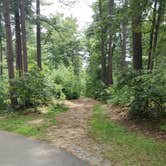 Review photo of Massasoit State Park Campground by Gillian G., August 20, 2021