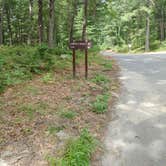 Review photo of Massasoit State Park Campground by Gillian G., August 20, 2021