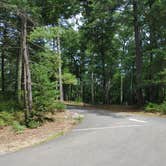 Review photo of Massasoit State Park Campground by Gillian G., August 20, 2021