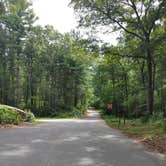 Review photo of Massasoit State Park Campground by Gillian G., August 20, 2021