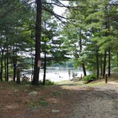 Review photo of Massasoit State Park Campground by Gillian G., August 20, 2021