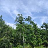 Review photo of Massasoit State Park Campground by Gillian G., August 20, 2021