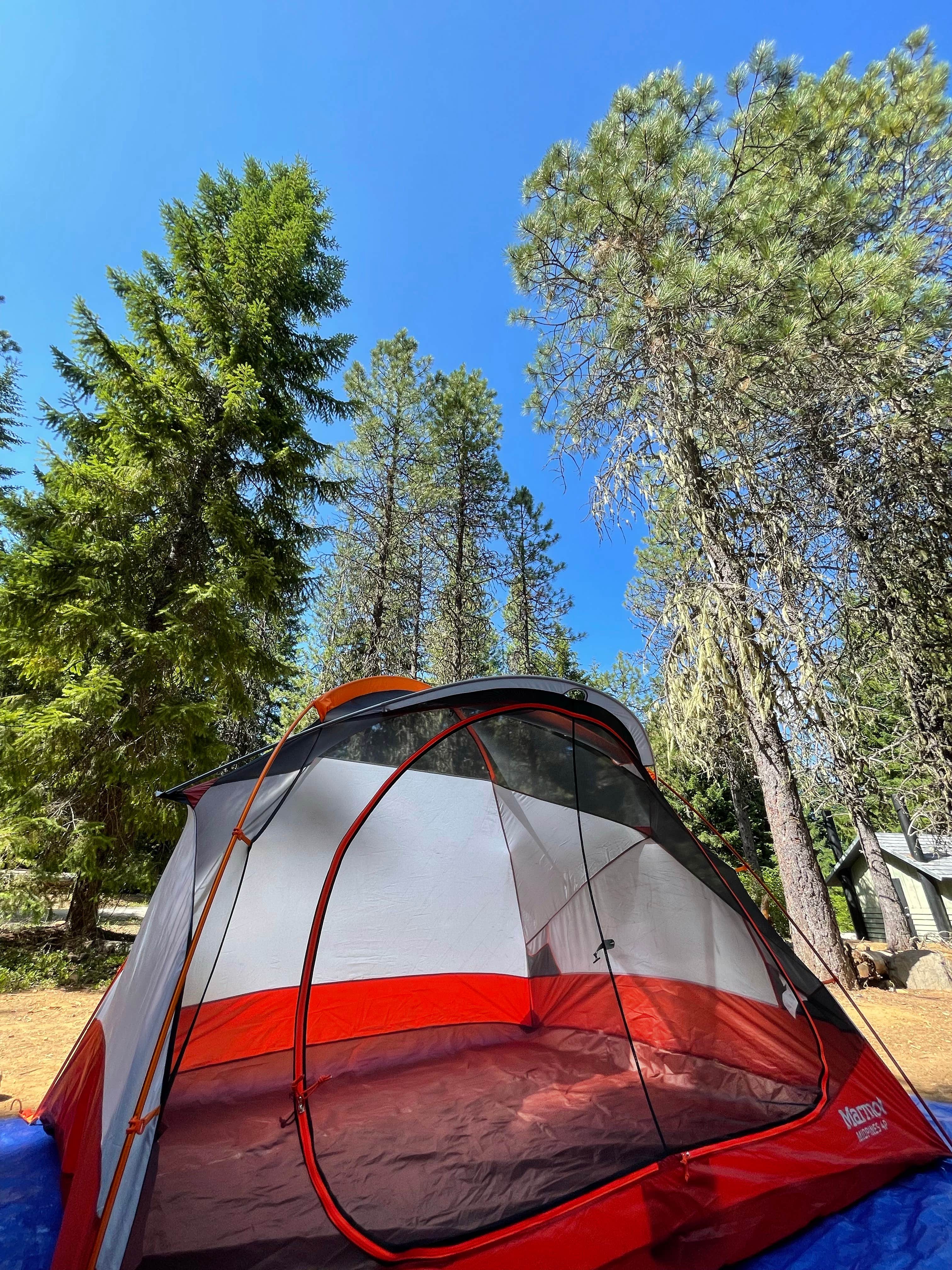 Camper submitted image from Pine Point Campground - 5