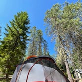 Review photo of Pine Point Campground by Ryan W., August 15, 2021