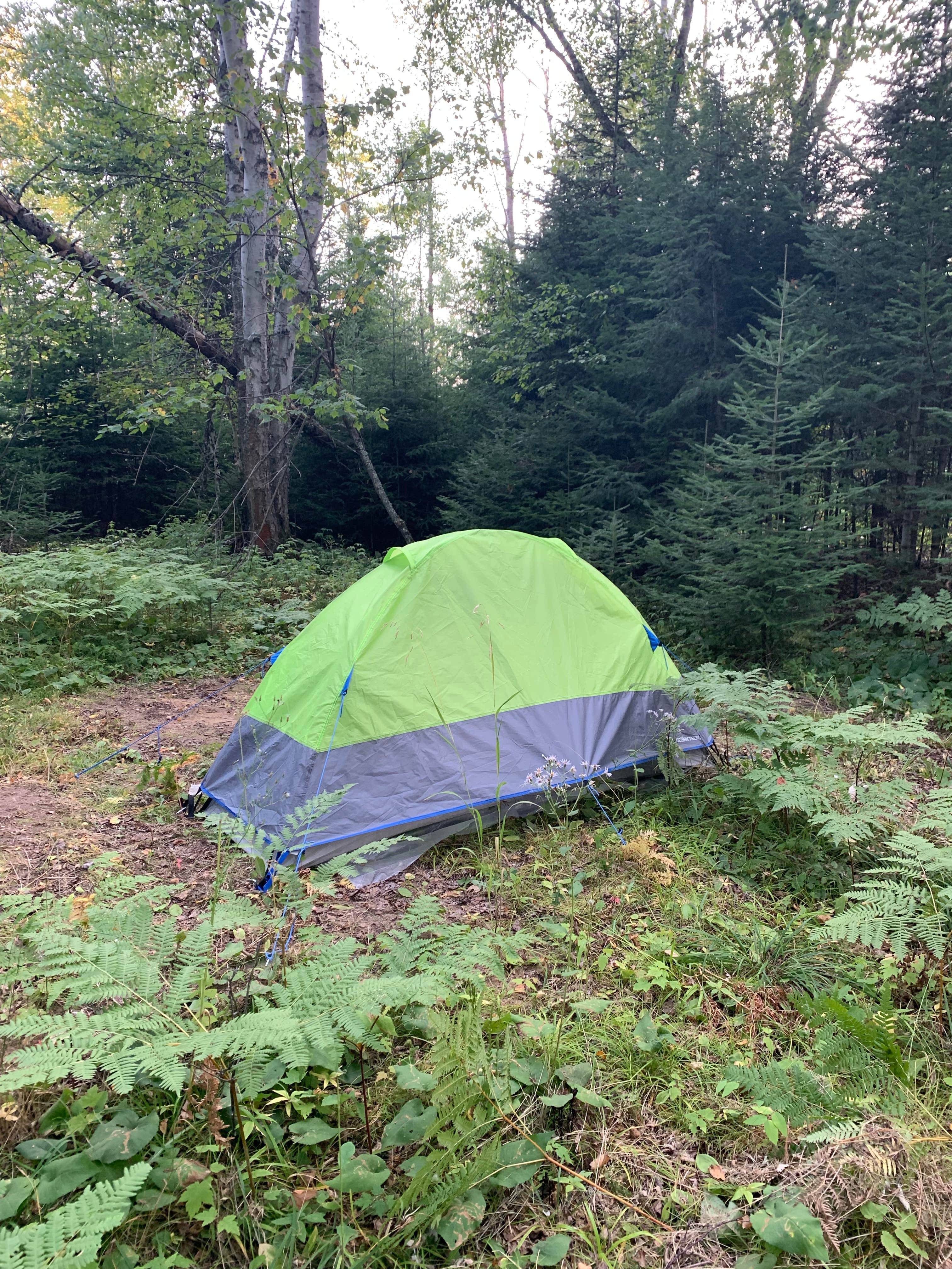 Lindsay N.'s photo at Turbera Vista - CLOSED near Meadowlands, MN