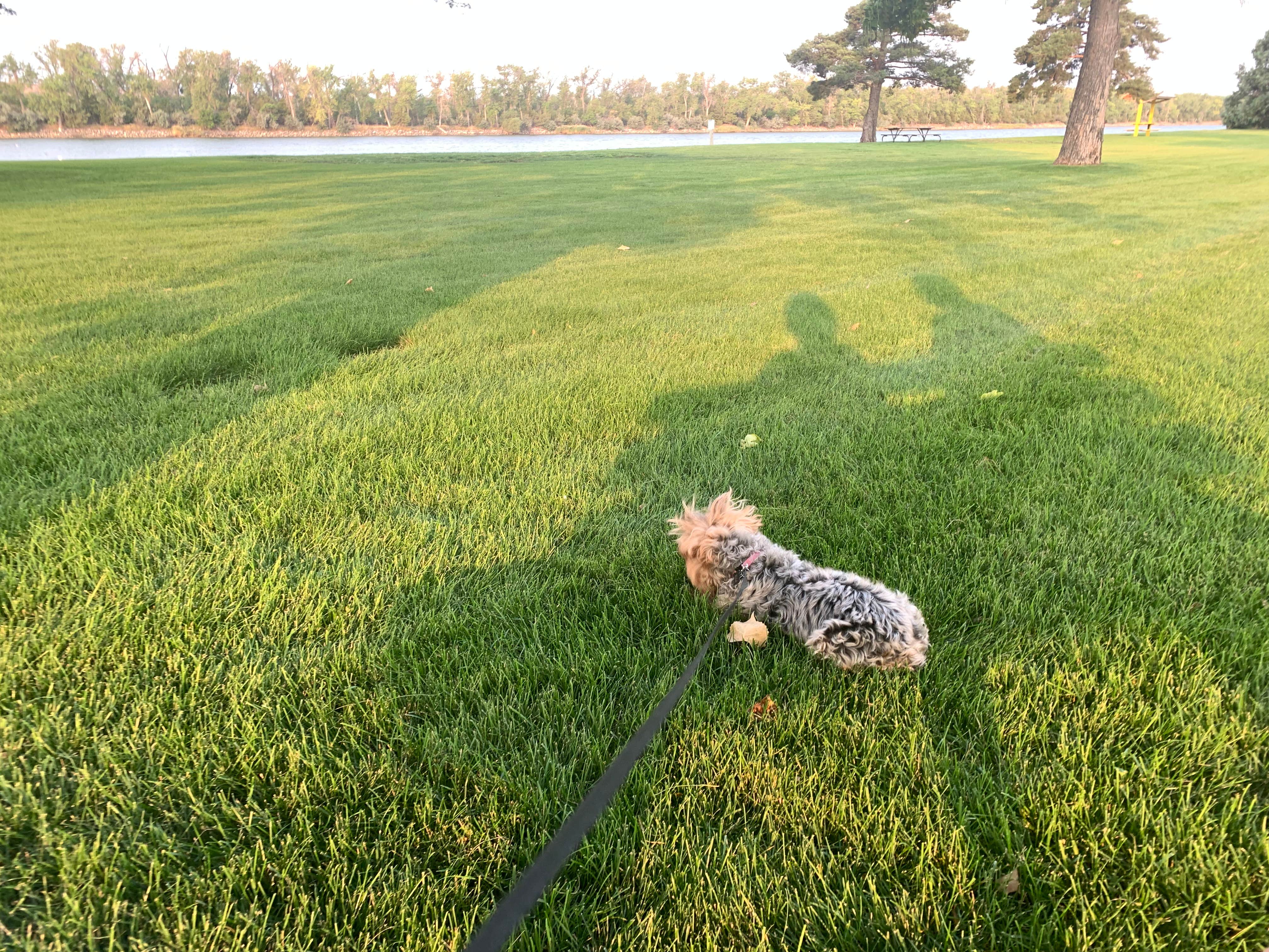 Camper-submitted photo at Griffin City Park near Fort Pierre, SD