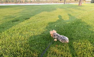 Missy D.'s photo of camping with pets at Griffin City Park near Pierre, SD