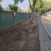 Review photo of Grand Junction KOA by Greg L., August 20, 2021