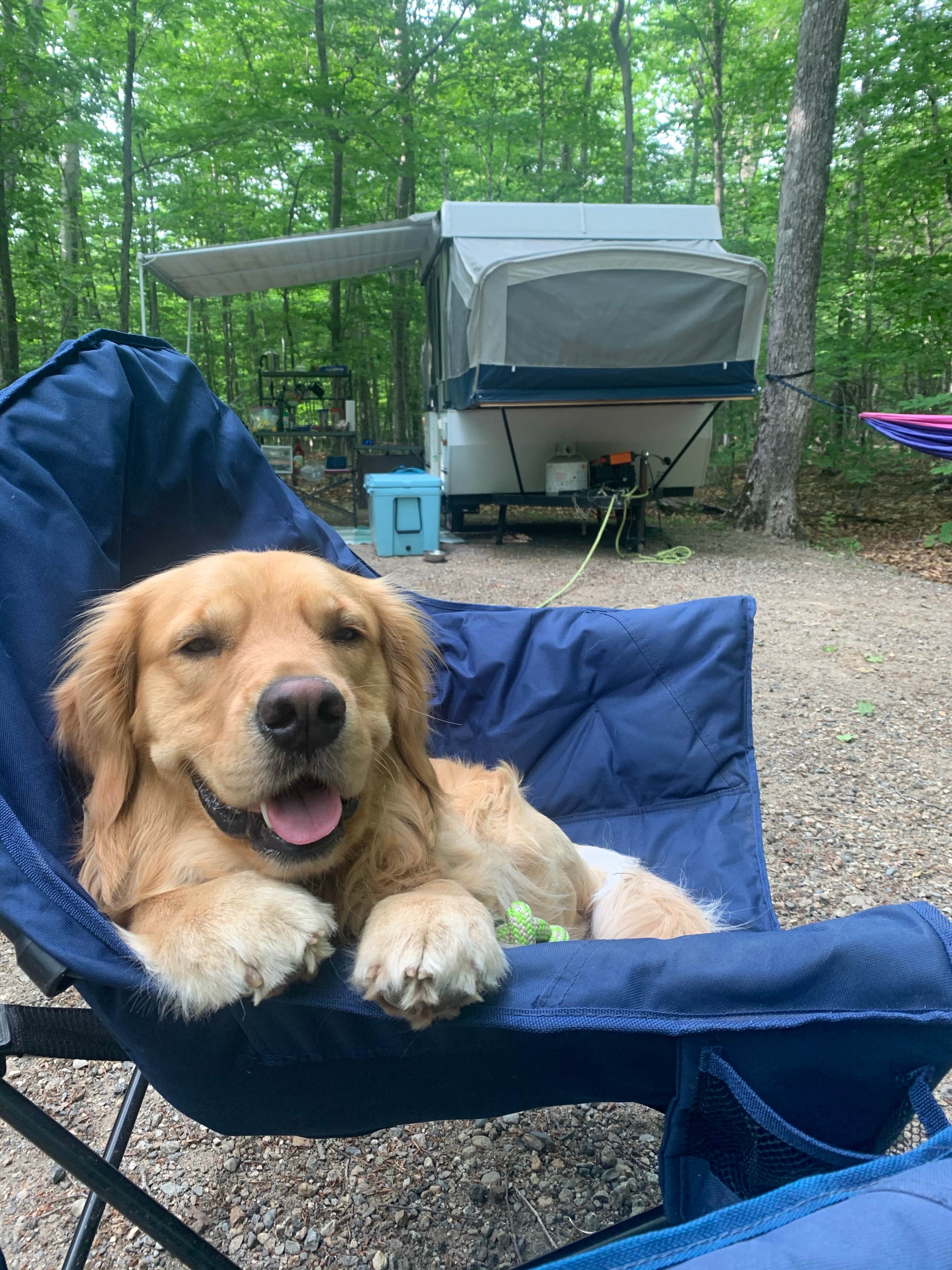Jennifer S.'s photo of camping with pets at Dry River Campground — Crawford Notch State Park near Lincoln, NH