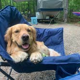 Review photo of Dry River — Crawford Notch State Park by Jennifer S., August 20, 2021