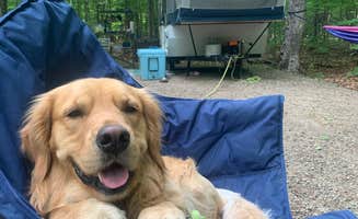 Jennifer S.'s photo of camping with pets at Dry River Campground — Crawford Notch State Park near North Conway, NH