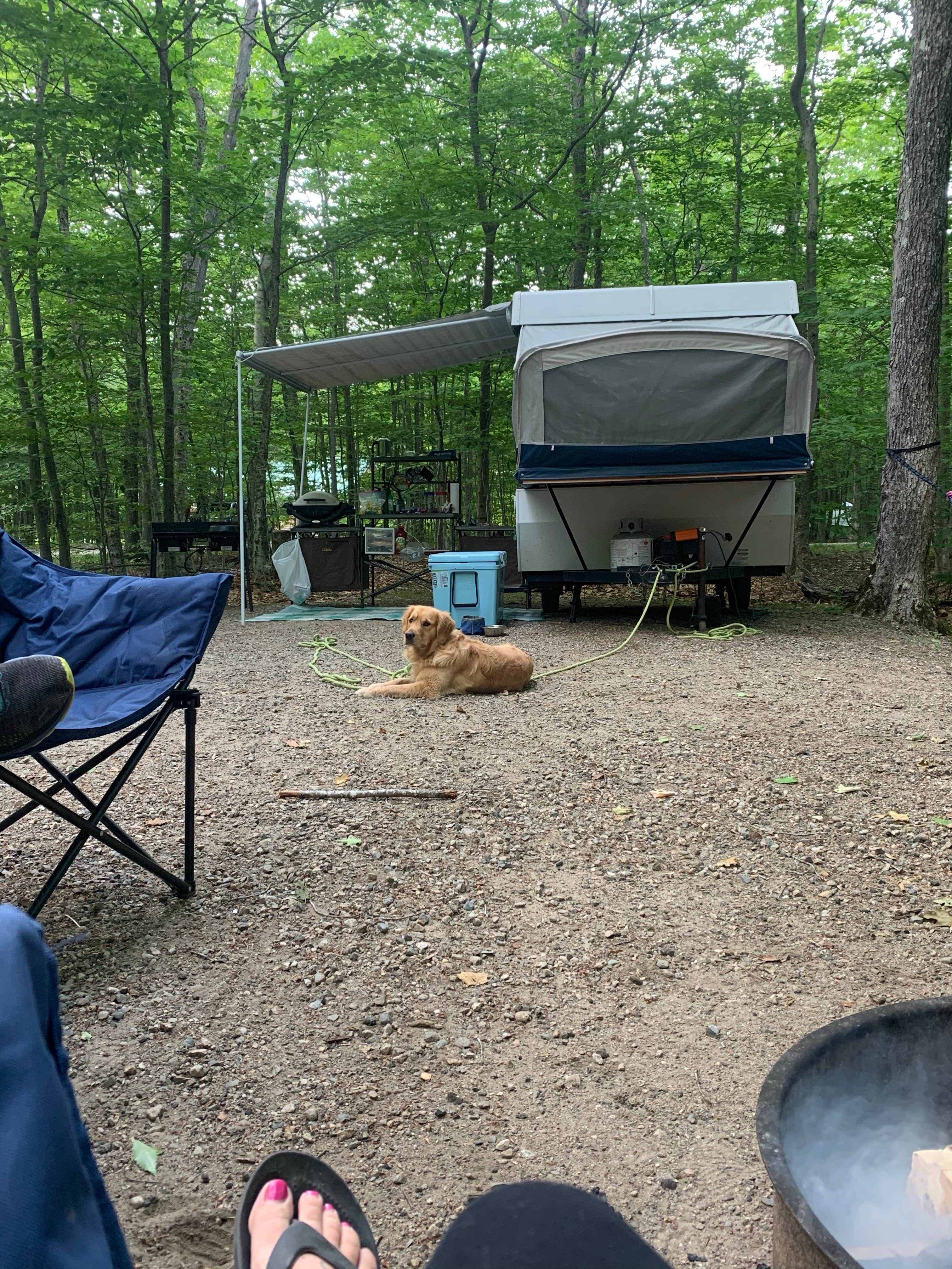 Jennifer S.'s photo at Dry River Campground — Crawford Notch State Park near White Mountain National Forest