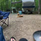 Review photo of Dry River — Crawford Notch State Park by Jennifer S., August 20, 2021